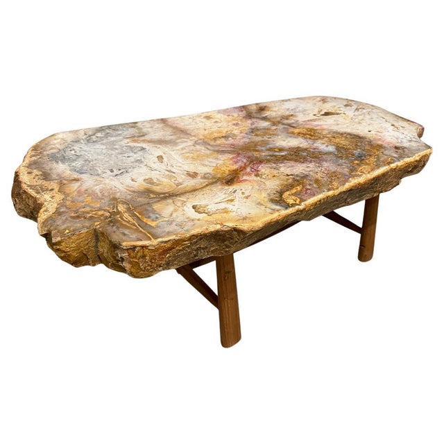 Andrianna Shamaris Beautiful Rare Petrified Wood Coffee Table For Sale - Image 15 of 18