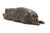 1980s Vintage Large Heavy Cast Bronze Reclining Pig Animal Sculpture, 1980s For Sale - Image 5 of 6