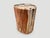 Andrianna Shamaris High Quality Petrified Wood Side Table For Sale - Image 18 of 18