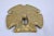 Vintage brass sand dollar paper weight. Nicely detailed and heavy enough to hold down a stack of papers. This is a pre-...
