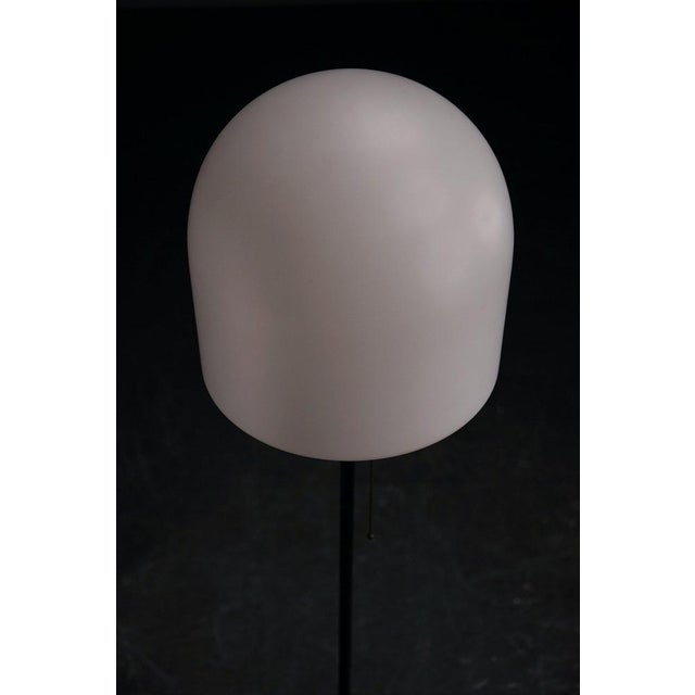 A251 Standing Lamp by Aldo van den Nieuwelaar for Artimeta For Sale - Image 5 of 12