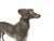 Mid 20th Century Heavy Bronze Standing and Sitting Greyhound Dog Figurines- a Pair For Sale - Image 10 of 10