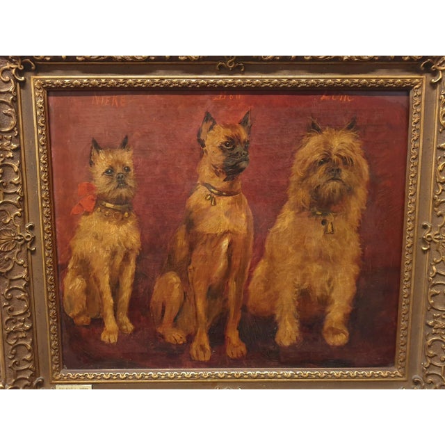 Allaert, Dogs, 1890s-1910s, Large Oil on Canvas, Framed, in Very Good conditions. Designed 1890 to 1919 This piece has an...