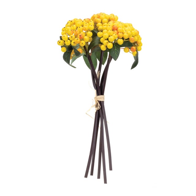 Bring a refreshing touch of nature into your space with this charming Yellow Berry Bundle Set. Designed to brighten any...