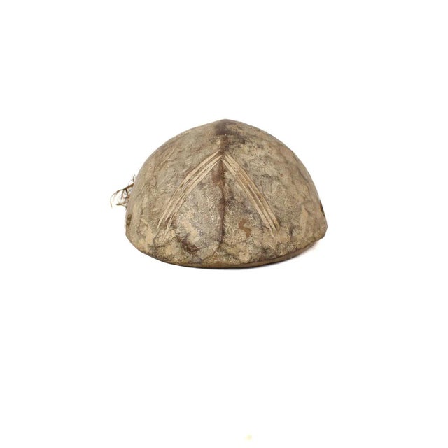 Early 20th Century Early 20th Century Lega Mask with Beard For Sale - Image 5 of 8