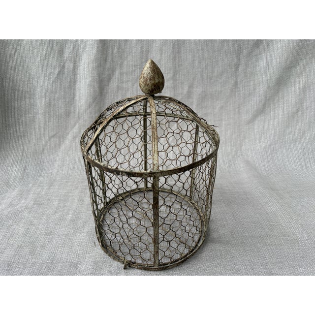 Vintage Indoor Wire Birdcage Garden Cloche For Sale - Image 9 of 17