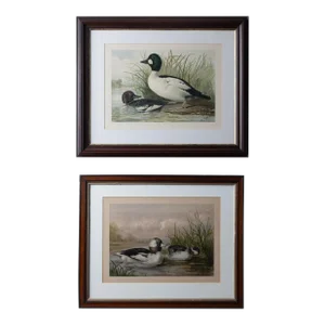 A Pair of Alexander Pope Jr. Duck Chromolithographs, 1878
