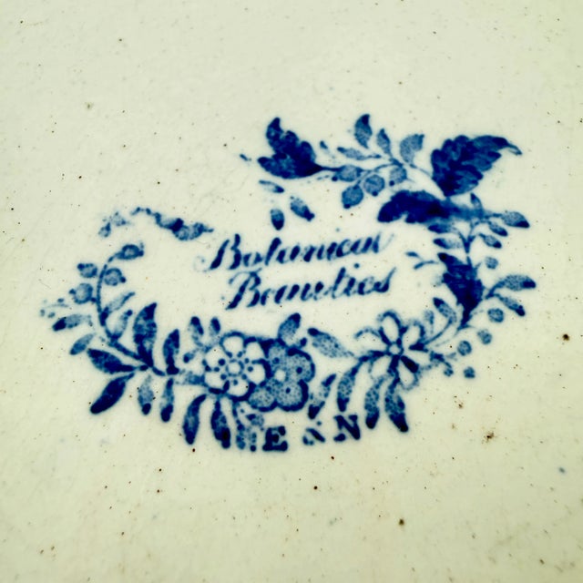 Elkin & Newbon English Botanical Beauties Dinner Plates, Set of Eight For Sale - Image 14 of 15