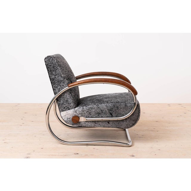 Animal Skin Model H221 Armchair by Jindřich Halabala for Up Závody, 1930s For Sale - Image 7 of 14