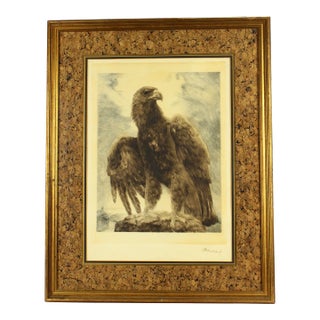 Mid 20th Century Kurt Meyer Eberhardt Original Etching - Eagle, Signed For Sale