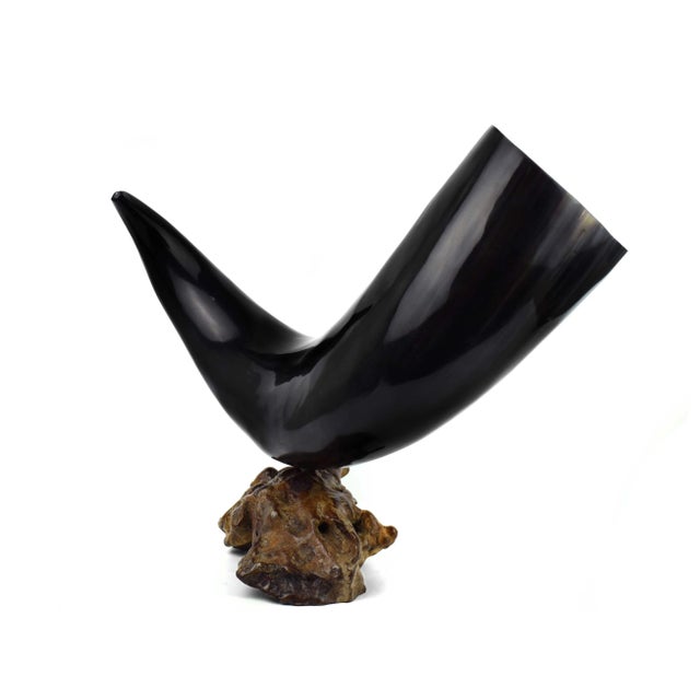 Natural Oversized Buffalo Horn Mounted on a Wooden Base Sculpture For Sale - Image 4 of 12