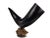 Natural Oversized Buffalo Horn Mounted on a Wooden Base Sculpture For Sale - Image 4 of 12