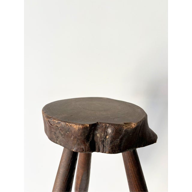 Modern Mid-Century Tree Slab Side Table Stool with Live Edge, France, 1940s For Sale - Image 3 of 9