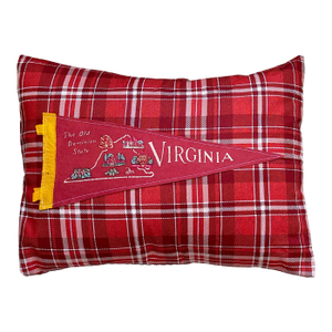 Virginia Vintage Pennant on New Woven Fabric Throw Pillow