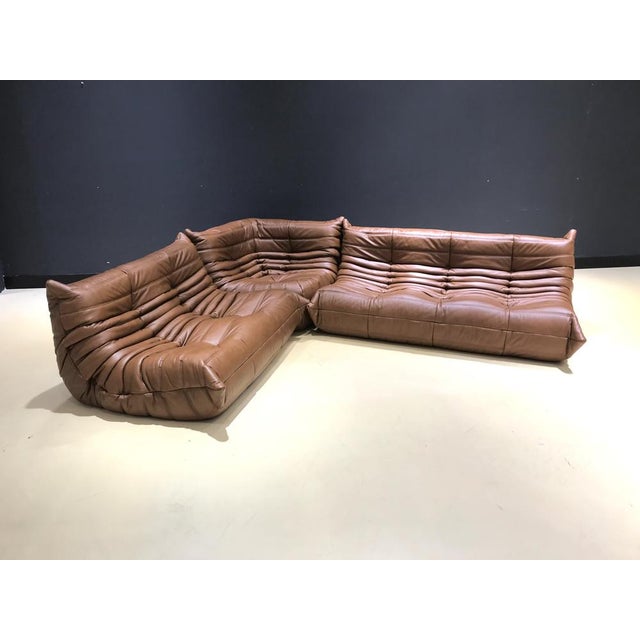 Togos Michel Ducaroy for Ligne Roset, Set of 3 For Sale - Image 17 of 18