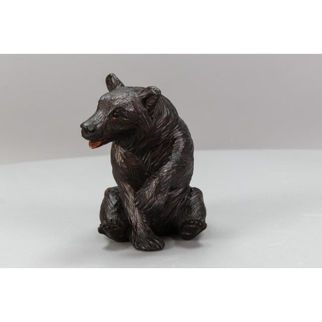 Antique Black Forest Carved Seated Bear Figure, 1890s For Sale - Image 10 of 18