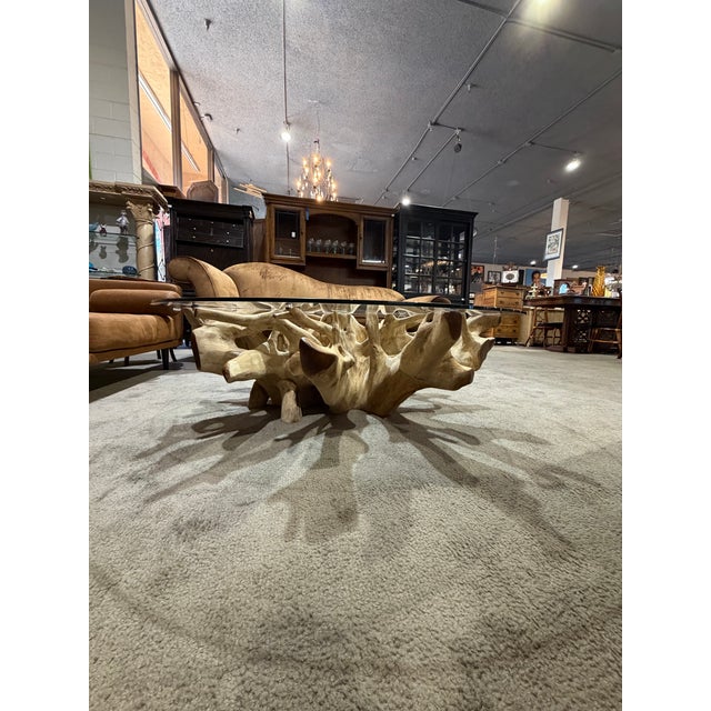 Late 20th Century Late 20th Century English Elm “New Orleans” Teak Root Coffee Table With Round Glass Top For Sale - Image 5 of 7