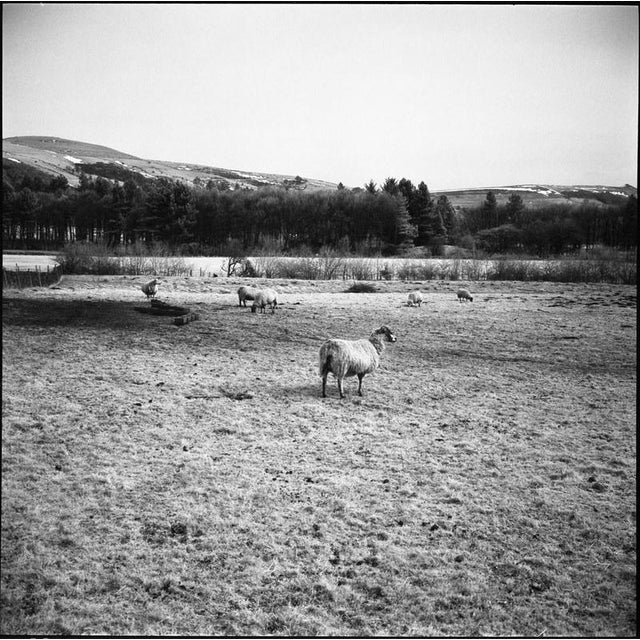 Not Yet Made - Made To Order Paul Cooklin, the Peak District Print, Edition of 10 Edition of 50 For Sale - Image 5 of 5