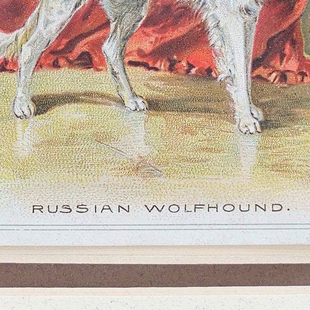 Victorian Chromolithograph of Russian Wolfhound, c.1890s For Sale In San Francisco - Image 6 of 11