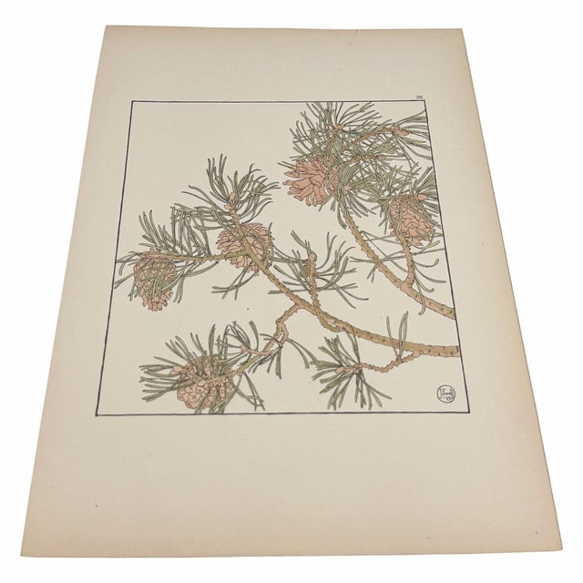 An original 1901 pochoir botanical plate by British designer Jeannie Foord, published in her influential Decorative Flower...