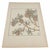 An original 1901 pochoir botanical plate by British designer Jeannie Foord, published in her influential Decorative Flower...