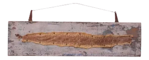 Mounted Diamond Back Rattlesnake Skin
