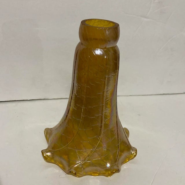 Mid 20th Century Iridized Glass Lamp Shades - Set of 5 For Sale - Image 12 of 12