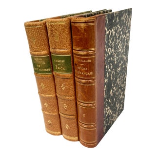 Antique 19th Century French Leather Bound Books - Set of 3 For Sale