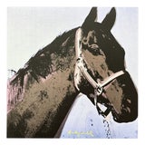 After Andy Warhol, Horse, 1980s, Print For Sale