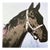 After Andy Warhol, Horse, 1980s, Print For Sale