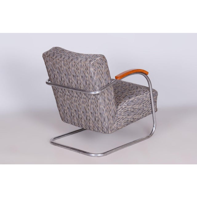Czech Bauhaus Armchair in Chrome and Beech attributed to Mücke Melder, 1930s For Sale - Image 6 of 10