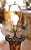 Metal Pair of Mid-Century French Louis XV Chinese Export Porcelain Bronze Lamps For Sale - Image 7 of 9