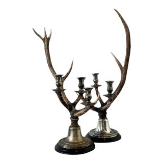 Vintage Natural Deer Antler Candlesticks - A Pair For Sale