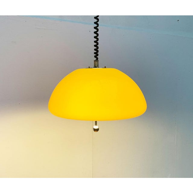 1960s Mid-Century Space Age Cabras Pendant Lamp by Luigi Massoni for Guzzini, 1960s For Sale - Image 5 of 18