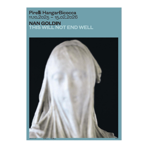 Nan Goldin This Will Not End Well Poster