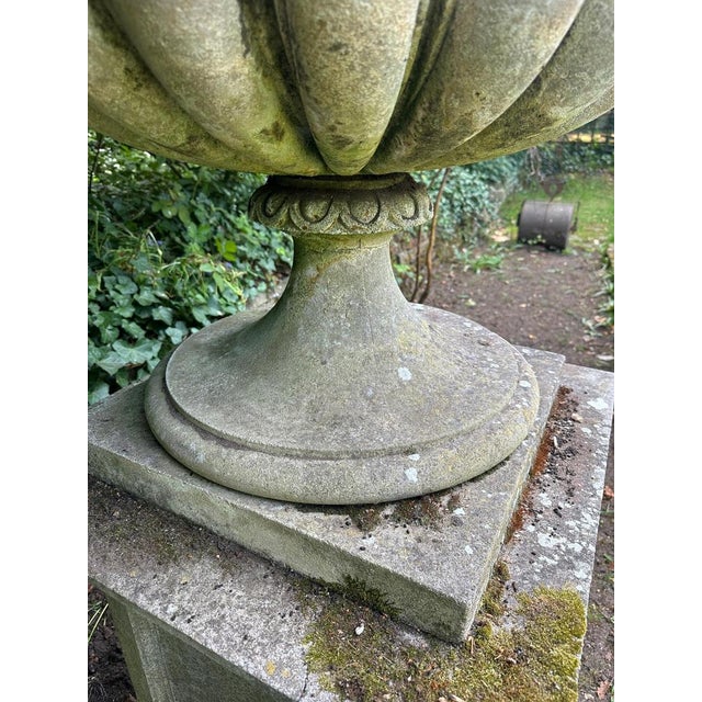 Large English Stone Urn and Pedestal, 1950s For Sale - Image 15 of 18