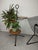 Mid-Century Modern Mid-Century Tripod Plant or Cake Stand from Ilse Möbel, 1960s For Sale - Image 3 of 15