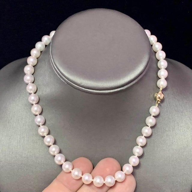 Traditional Akoya Pearl Necklace 14k Yellow Gold Certified For Sale - Image 3 of 10