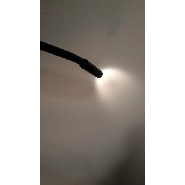 Model Zed Table Lamp by Tommaso Cimini for Lumina, 1980s For Sale - Image 6 of 18