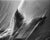 Artist: Ugnė Pouwell Title: Fern no.4 Year: 2026 Medium: Black and white analogue photograph Sizes: 40 × 32 cm; 100 × 125...