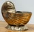 Vintage nautilus brass seashell planter atop rock style base. Use as a planter, wine bottle holder, or as stand alone...