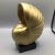 Faux Gold Shell on Black Base For Sale - Image 13 of 13