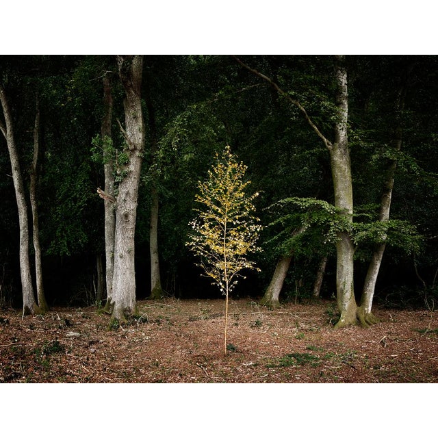 Smoke and Mirrors 1 is a Digital C-Type print on Fuji Maxima Matte paper, available in this size from a Limited Edition of...