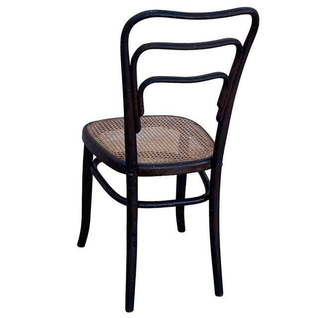 1920 Art Deco Bent Oak & Cane Chair No. 144 Attributed to Thonet For Sale In Los Angeles - Image 6 of 9