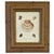 Illustration Framed Seashell Engraving Prints - Conchology Engravings After Georg Wolfgang Knorr, Set of 4 For Sale - Image 3 of 15