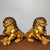 This is an impressive pair of large vintage gilt bronze guardian lions, also known as Foo Dogs or wealth lions. Each lion...
