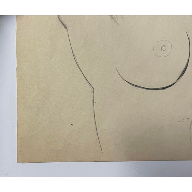 1950s stylized female nude drawing on paper. Signed by Robert Weber lower right. Combined shipping available, please inquire.