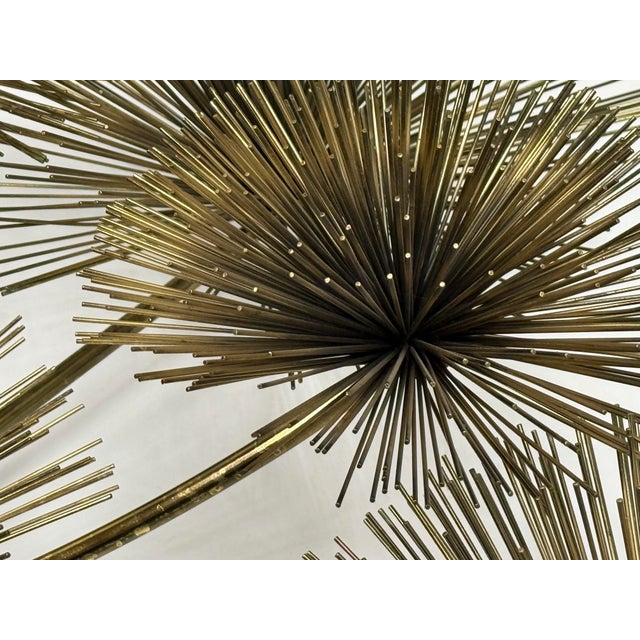 Brass Curtis Jere Vintage Brass Sea Urchin/Dandelion Wall Sculpture For Sale - Image 8 of 13