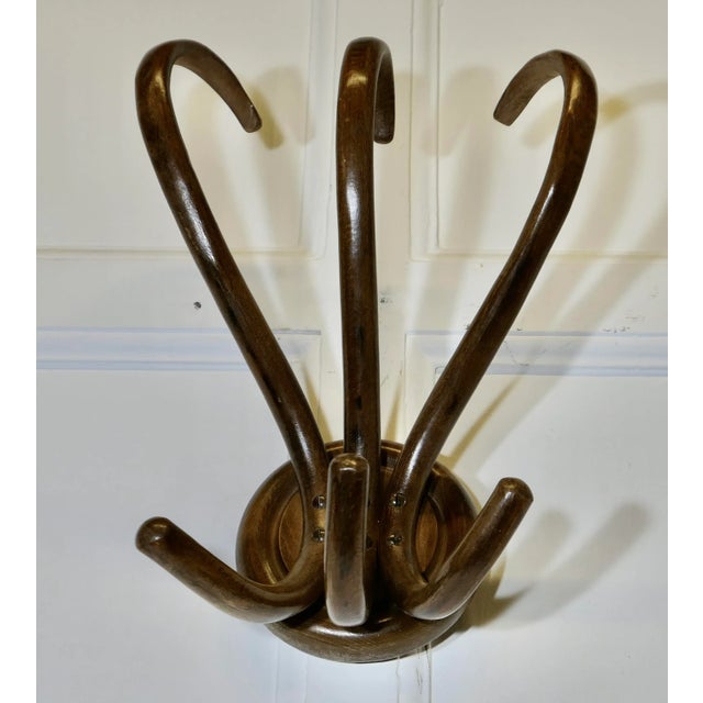 19th Century Bentwood Wall Hanging Coat Rack from Thonet, 1890s For Sale - Image 4 of 6