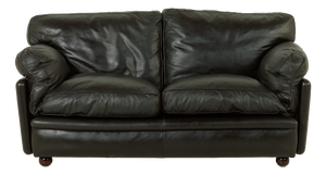 Poppy 2-Seater Sofa by Tito Agnoli for Poltrona Frau, 1970s
